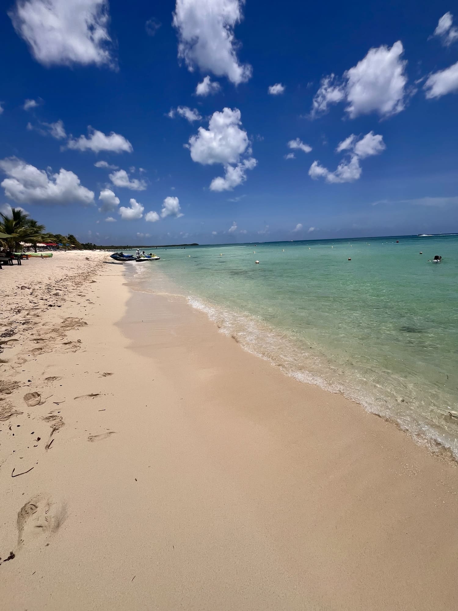 How to Escape Sargassum in Mexico: The Best Places to Visit Beyond the Beach