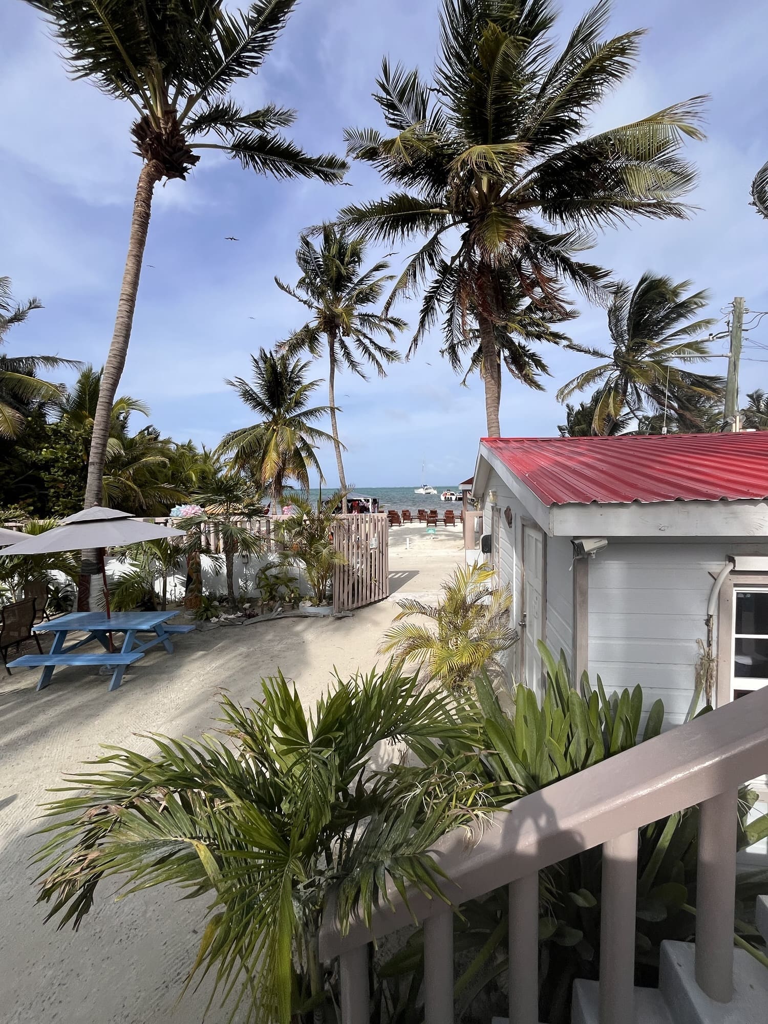 Best Things to Do in Caye Caulker, Belize: The Ultimate Guide