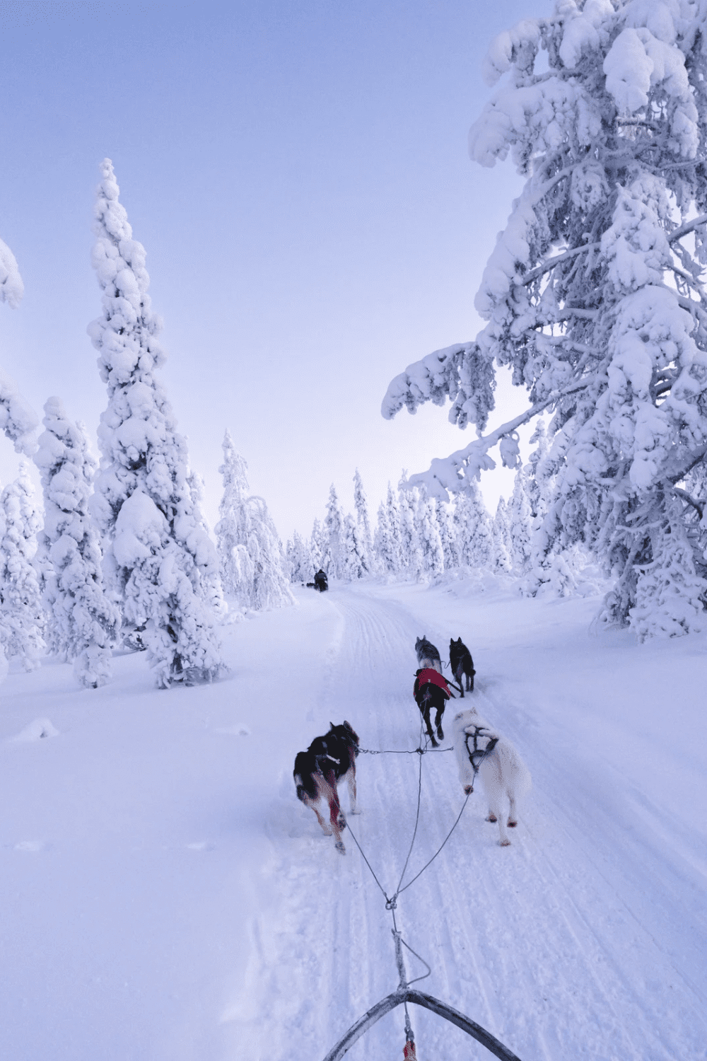 Activities in Saariselkä Finland: 17 Magical Things to Do (for Every Season)