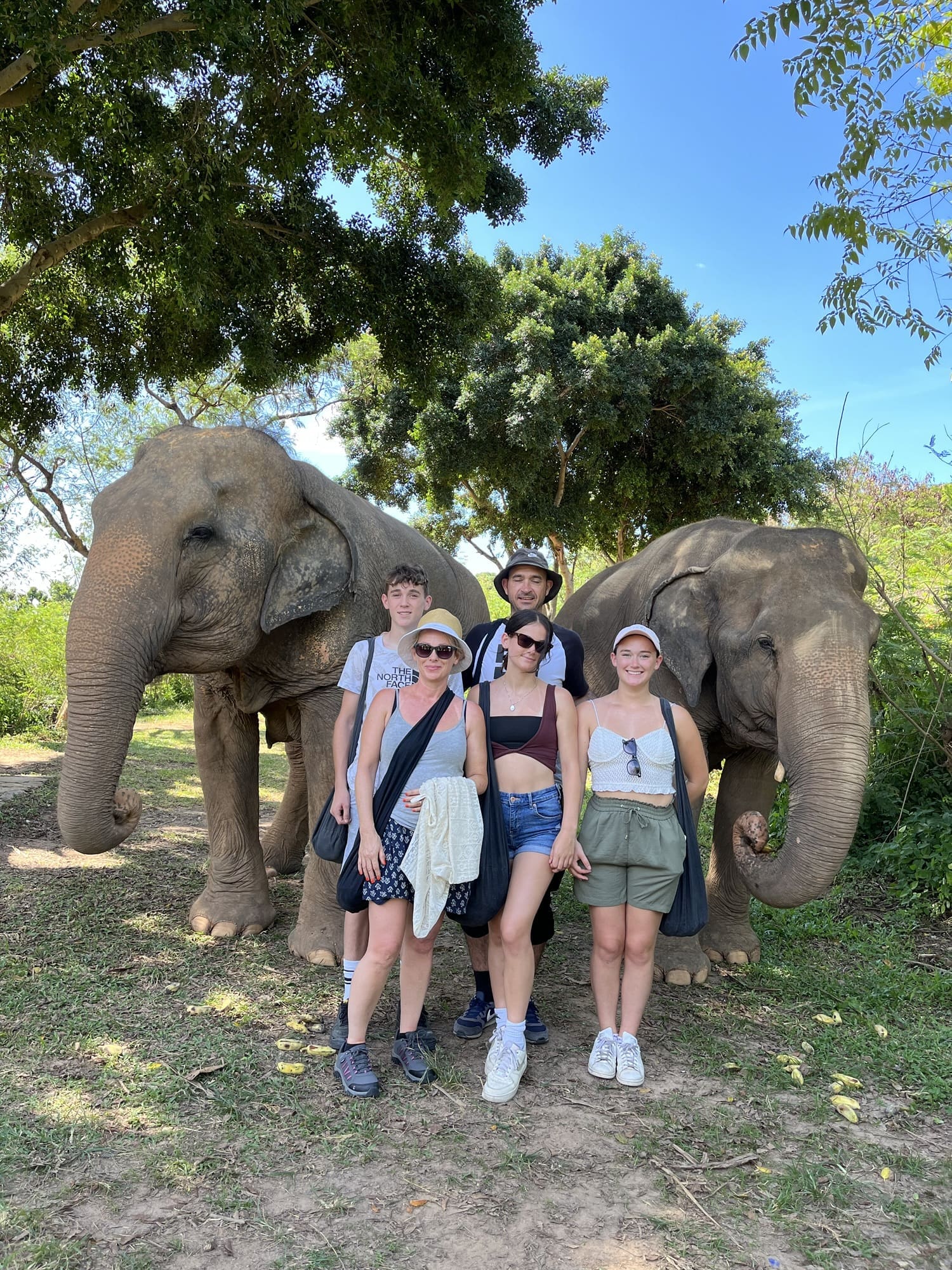 Koh Samui Elephant Sanctuary Review – An Ethical Elephant Experience in Thailand