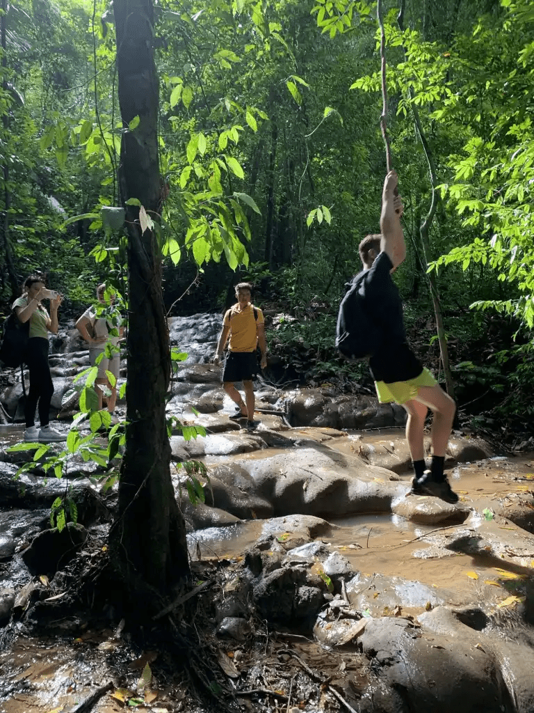 Khao Sok National Park Tours: Best Day Trips & Cheow Larn Lake Guide